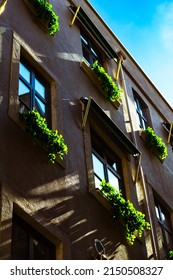 Sustainable Building Concept Vertical Photo. Plants In The Flowerpots In Front Of The Windows In A Modern Building. Ecology Or Sustainability Or Carbon Net Zero Concept.