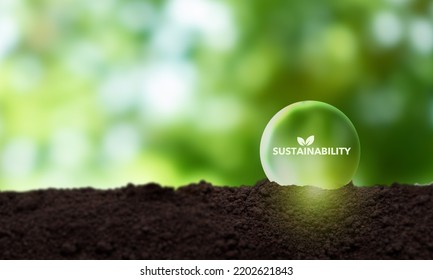 Sustainable Business Strategy Concepy. Growing Sustainability By Doing Business With Positively Impacting The Environment, Community And Society. Challenges And Drive Business Success. ESG.