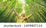 Sustainable eco-friendly travel tourist hiker walking in natural bamboo forest happy with arms up in the air enjoying healthy environment renewable resources.