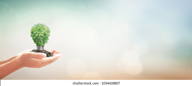 Sustainable energy concept: Human hand holding light bulb of tree on blurred nature background - Powered by Shutterstock