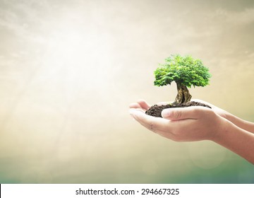 Sustainable Environmental Development Concept: Human Hand Holding Growth Tree Over Blurred Abstract Nature Background