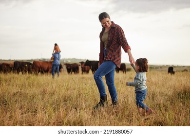 Sustainable Farming Family, Cows On Agriculture Farm With Rustic, Countryside Or Nature Grass Background. Farmer Mother, Dad And Kids With Cattle Or Livestock Animals For Dairy, Beef Or Meat