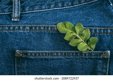 Sustainable Fashion, Circular Economy, Denim Eco Friendly Clothing. Green Leaf Plant On Blue Denim Jeans Background