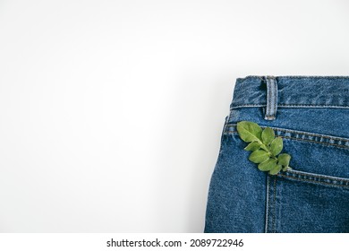 Sustainable Fashion, Circular Economy, Denim Eco Friendly Clothing. Green Leaf Plant On Blue Denim Jeans Background