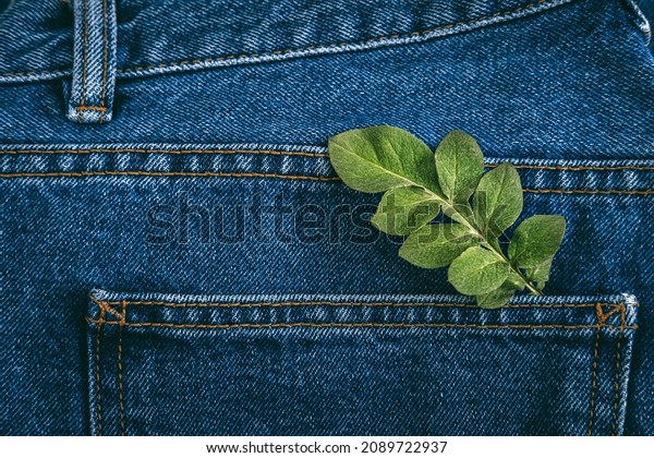 Sustainable fashion,\
Circular economy, denim eco friendly clothing. Green leaf plant on\
blue denim jeans\
background