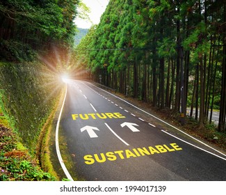 Sustainable future and arrow marking on highway road and white marking lines in the forest. Inspiration and motivation concept and effort idea