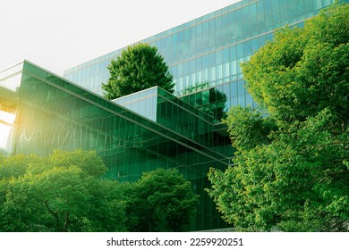 Sustainable green building. Eco-friendly building. Sustainable glass office building with tree for reducing carbon dioxide. Office with green environment. Corporate building reduce CO2. Safety glass. - Powered by Shutterstock