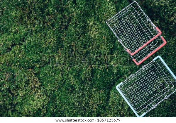 Sustainable lifestyle. Top view of\
supermarket shopping basket on green grass, moss background. Black\
friday sale, discount, shopaholism, ecology concept. Sustainable\
lifestyle, conscious\
consumption.