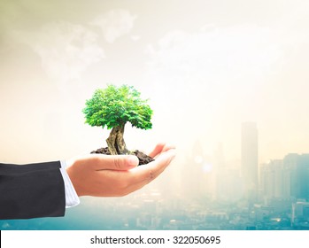 Sustainable Management Concept: Business Man Hands Holding Big Tree Over Blurred City With World Map Of Clouds Background