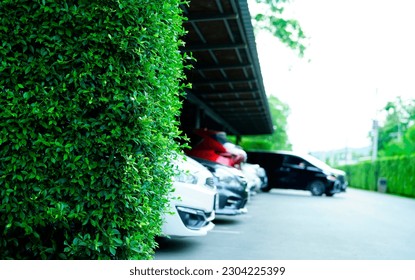 Sustainable parking lot. Green parking lot. Green hedge fence on blur busy urban parking space. Eco-friendly parking. Green infrastructure. Modern architecture. Sustainable automotive business service - Powered by Shutterstock