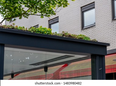 Sustainable public transport bus stop in Utrecht, Netherlands, with garden on top to attract bees and filter fine dust - Shutterstock ID 1483980482