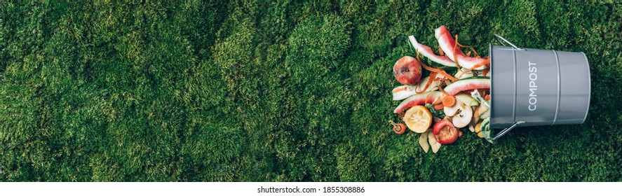 Sustainable, zero waste living. Vegetable waste in recycling compost pot. Top view. Copy space. Peeled vegetables in compost bin on green grass, moss background. Recycle kitchen waste. - Powered by Shutterstock