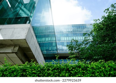 Sustainble green building. Eco-friendly building in modern city. Sustainable glass office building with tree for reducing carbon dioxide. Office with green environment. Corporate building reduce CO2. 