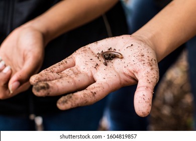 Sustentable Education, Children Planting Plants