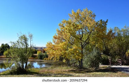 Sutherland Shire Park, Lakewood, CO