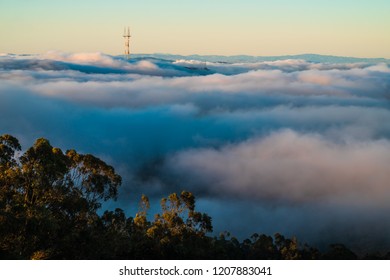 Sutro Tower In Fog
