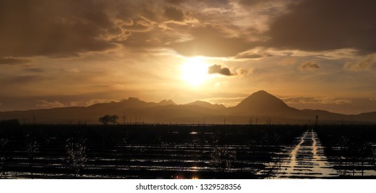 Sutter Buttes Close To Sunset