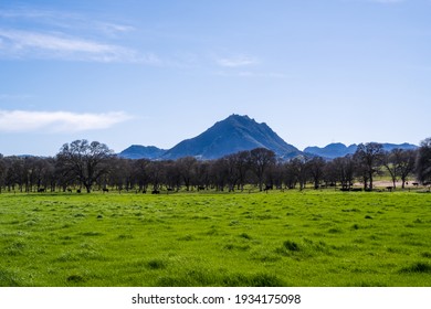 Sutter Buttes On A Sunny Day