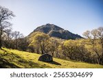 Sutter Buttes in the Spring Time