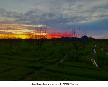 Sutter Buttes Sunset