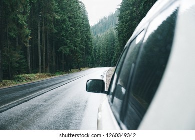 suv car at road side in rainy forest. road trip concept