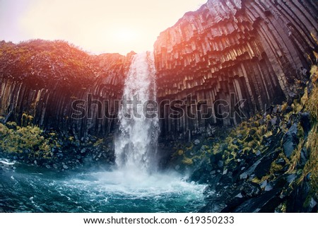 Svartifoss Black Fall , Skaftafell, Iceland. Dramatic waterfall surrounded by dark basalt lava hexagonal columns.