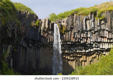 Svartifoss Falls In Summer Season View, Iceland. Icelandic Landscape.