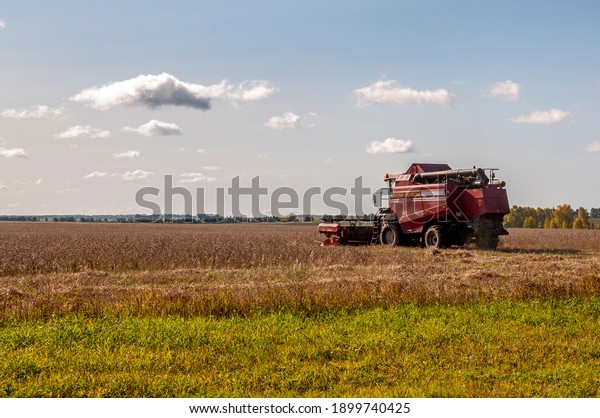 Sverdlovsk region, Ural, Russia. September 28,\
2020. Combine named Desna-Polesie GS10 harvester harvests wheat.\
Trees and their shadows on the grass. Sunny summer day with blue\
sky. Ural landscape