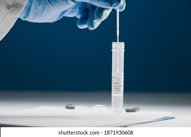 Swab In The Hand Of A Doctor (transport Of Viral PCR In Laboratory), Orange Closure With Transparent Liquid, Adhesive For Patient, (obtaining Analysis For Results), With Dark Blue Background