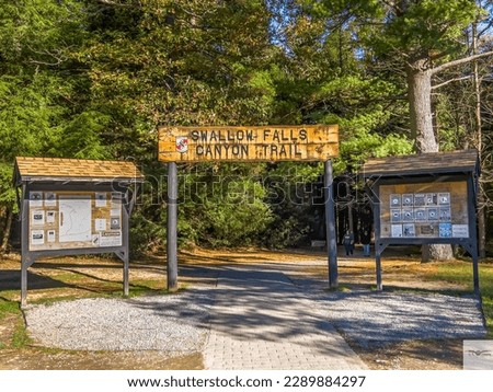 Swallow Falls State Park at Canyon Trail located in Oakland Maryland
