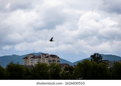 A swallow gracefully soars through the cloudy sky above a modern city with distant mountain ridges. Captured in natural motion.