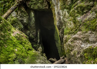 9,177 Cave moss Images, Stock Photos & Vectors | Shutterstock