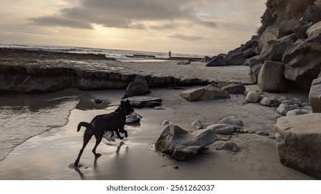 Swamis beach in San Diego California north county Encinitas area coastline. Waves, surfers, sunset silhouettes, beaches, tide pools, palm trees, clouds and rock abstractions!
