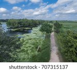 Swamp Arial