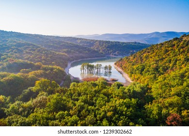 Swamp cypress trees growing in the center of a mountain lake - Powered by Shutterstock