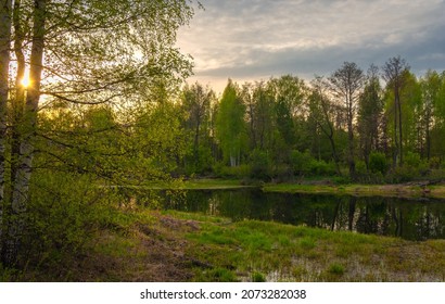 673 Boggy ground Images, Stock Photos & Vectors | Shutterstock