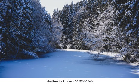 Swamp And Forest With White Snow In Misawa City, Aomori, Japan