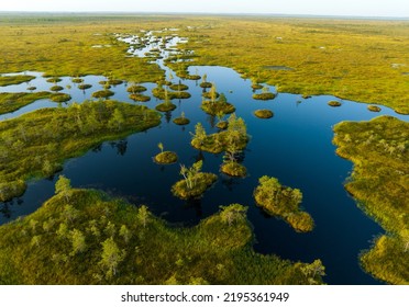 Swamp landscape, drone view. Yelnya Wild mire of Belarus. East European swamps and Peat Bogs. Ecological reserve in wildlife. Marshland with islands and pine trees. Swampy land, wetland, marsh, bog. - Shutterstock ID 2195361949