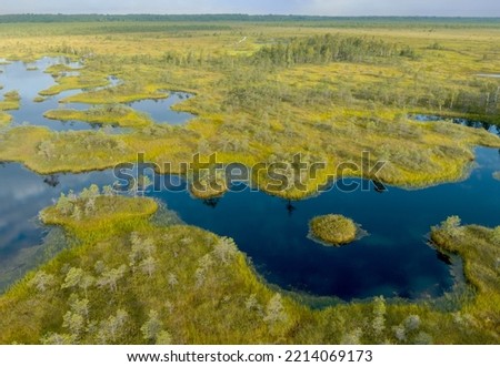 Swamp landscape on sunset. Wild mire of Yelnya, Belarus. East European swamps and Peat Bogs. Ecological reserve in wildlife. Marshland with islands and pine trees. Swampy land and wetland, marsh, bog.