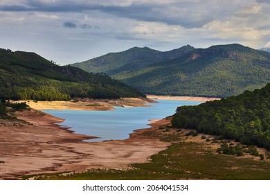 Swamp With Low Water Level. Drought Concept