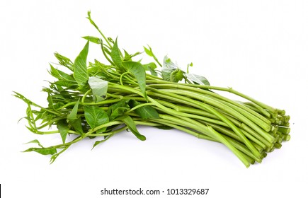 Swamp Morning Glory On White Background