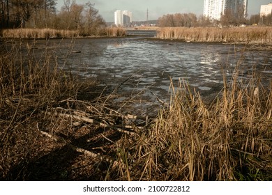 Swamp Next To A Residential Area. Wetland Near Residential Buildings. A Drained Lake Near The City