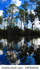 Swamp Reflection, Okefenokee National Wildlife Refuge, GA 