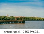 The Mallorquín swamp seen from the pier and blue sky. Barranquilla, Atlantico, Colombia.