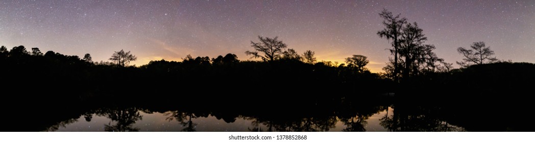 Swamp silhouette panorama at night with stars