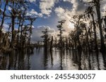 Swamp tour on a boat near Lafayette, Luisiana