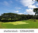 Swamp View With Sky As Background