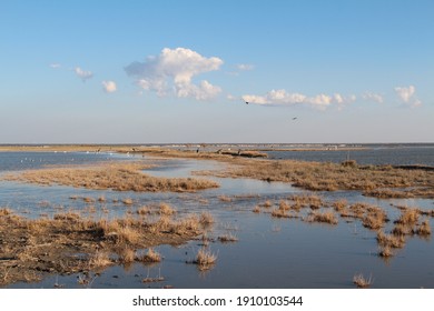 Swampland In The Nata Bird Sanctuary In Botswana