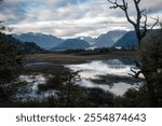 Swampy Lake in Southern Chile