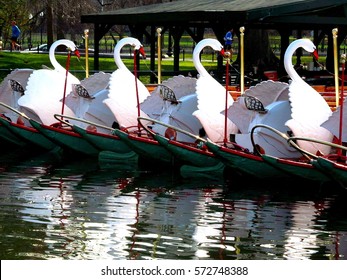 Swan Boats In Boston Public Garden